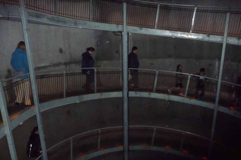 Nieuw-Zeeland 2011 - 0534